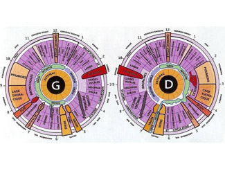 iridologie Nice